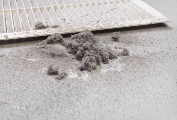 Best Best Air Duct Cleaning Near Me  in Wailua Homesteads, HI
