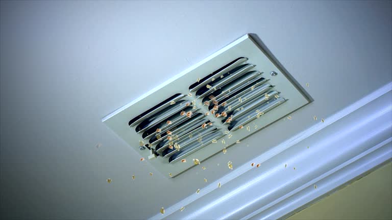 Best Affordable Duct Cleaning Services  in Wailua Homesteads, HI