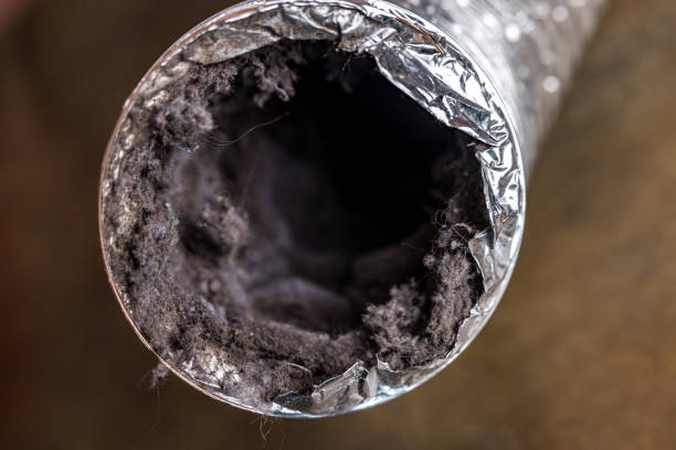 Best Air Duct Cleaning Near Me  in Wailua Homesteads, HI