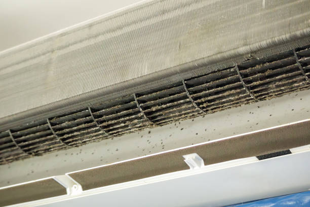 Affordable HVAC Duct Cleaning in Wailua Homesteads, HI