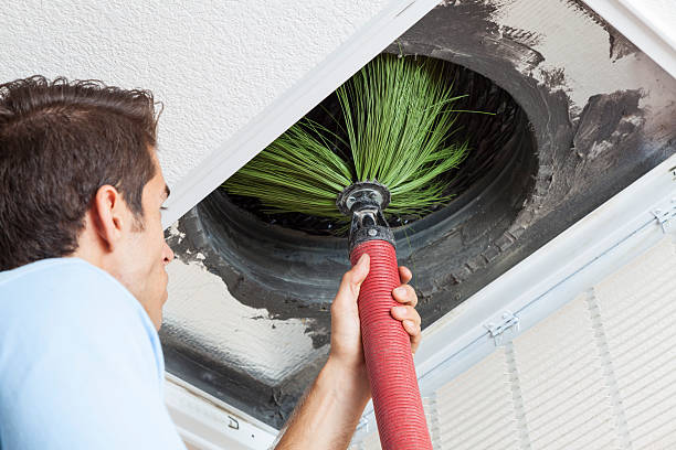Best Professional Duct Cleaning Services  in Wailua Homesteads, HI