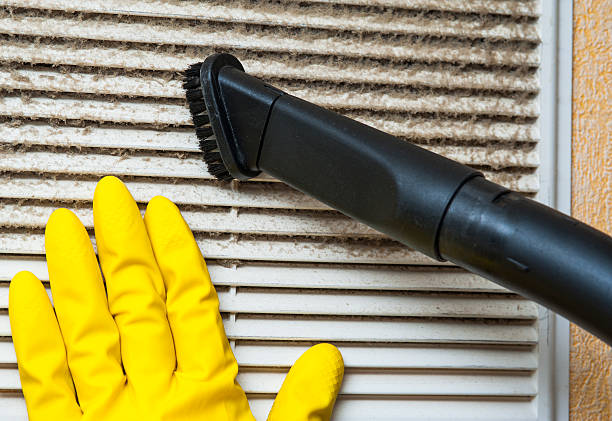 Best Emergency Air Duct Cleaning  in Wailua Homesteads, HI