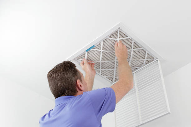 Air Duct Mold Removal in Wailua Homesteads, HI